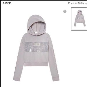 Vs Pink Velvet Stripe Hoodie